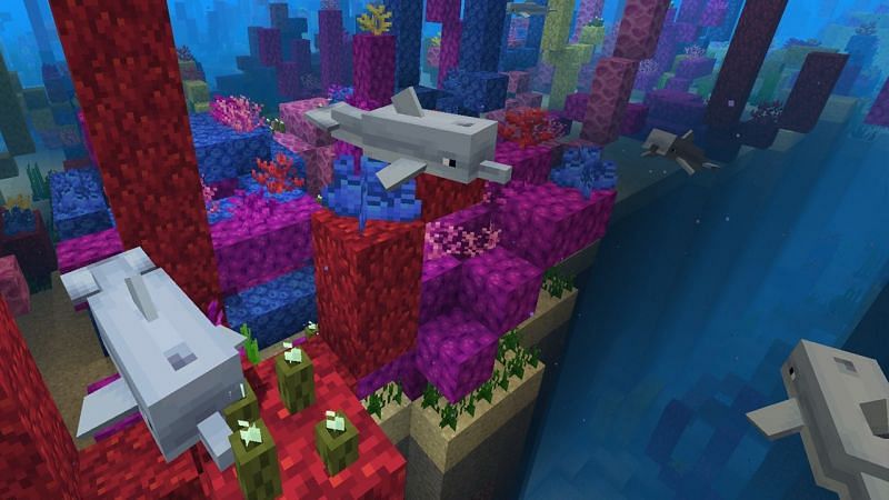 Dolphins (Image via Mojang)