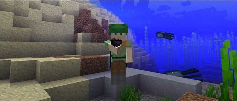 Ink sacs are the rarest item to obtain from fishing, with a spawn rate of 0.1% (Image via Mojang)