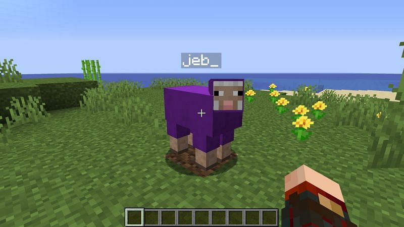 Color changing Sheep (Image via Minecraft)