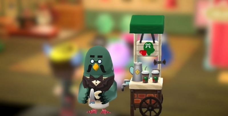 Brewster might be making his return to Animal Crossing soon. Image via Nintendo