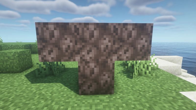 Four soul sand blocks placed in a T shape (Image via Minecraft)
