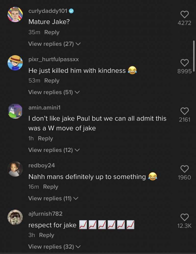 Jake Paul surprises fans by congratulating KSI on his song with Lil Wayne 2/3 (Image via TikTok)