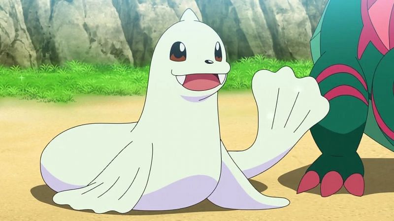 Dewgong Appearance