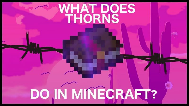 What does Thorns do in Minecraft (Image via RajCraft on Youtube)