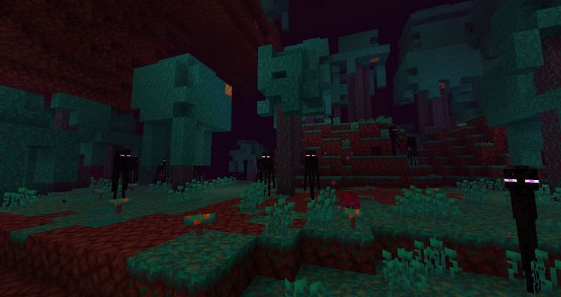 An eerie pack of endermen in a warped forest  (Image via Mojang)