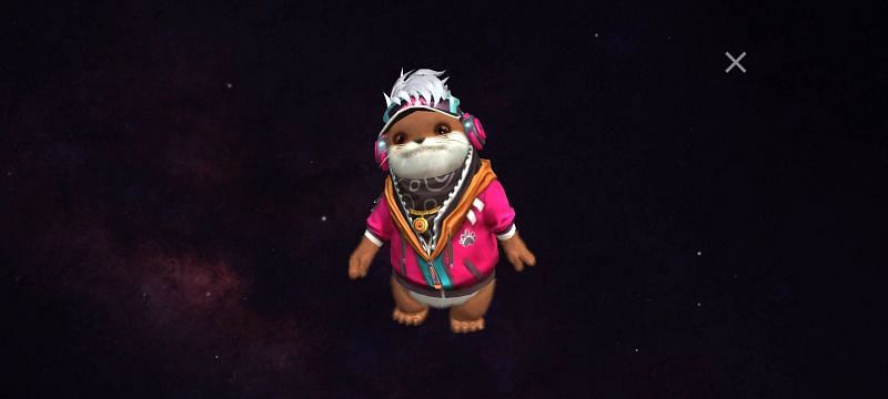 Ottero pet (Image via ff.garena)