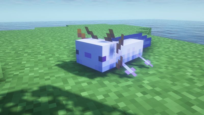 A blue axolotl in the game (Image via Minecraft)