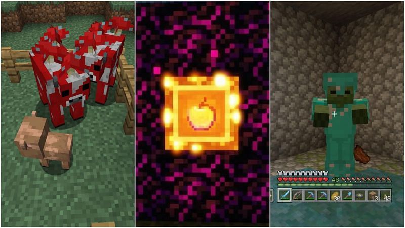 Rarest things (Image via Minecraft)