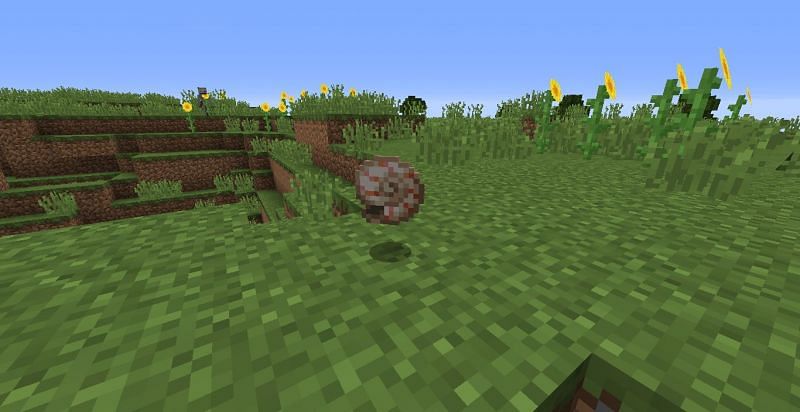A necessary component in creating Conduits, Nautilus shells can be tricky to find (Image via Mojang)