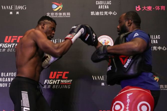 What is UFC heavyweight champion Francis Ngannou's punching power?