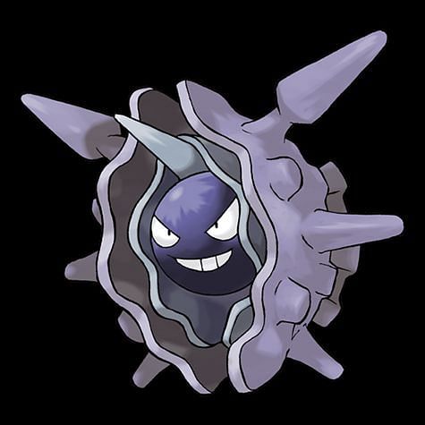 Cloyster Pokemon Evrimi