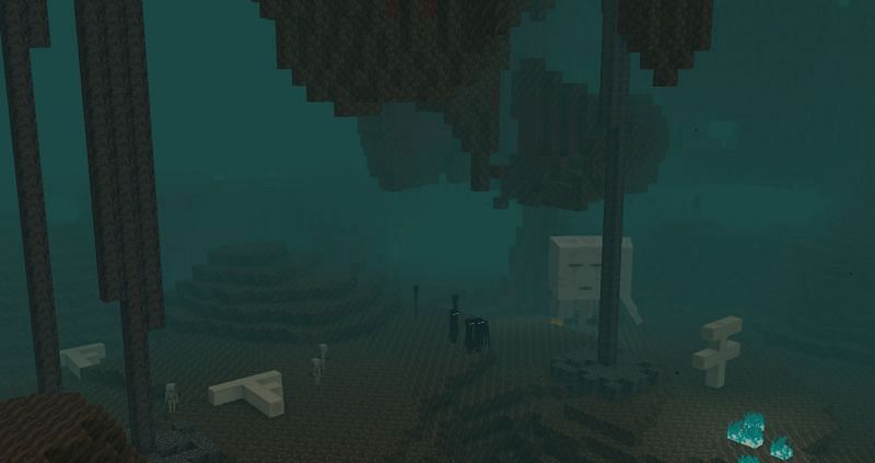 Soul Sand Valleys can have Nether Fortresses in them (Image via Minecraft)