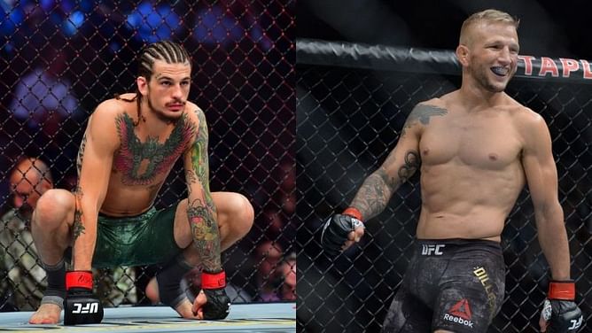 "He's got too many holes" - T.J. Dillashaw explains why Sean O'Malley can't become a UFC champion