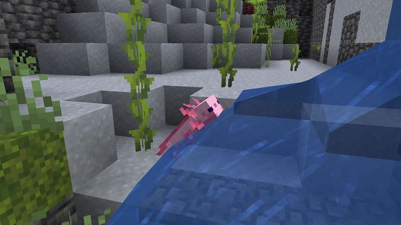 Axolotl in lush cave (Image via Minecraft)