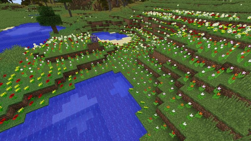 A naturally-spawned flower forest (Image via Reddit)