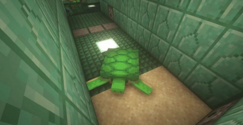 A secret redstone door that utilizes turtle mechanics (Image via u/PoketDex on Reddit)