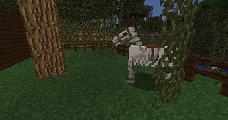 Skeleton horses are one of the rarest mobs in Minecraft, making them highly sought after. Image via Minecraft