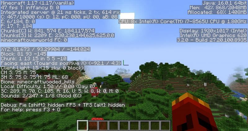 Debug screen (Image via Minecraft)