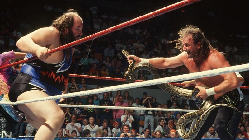 Jake Roberts in WWE