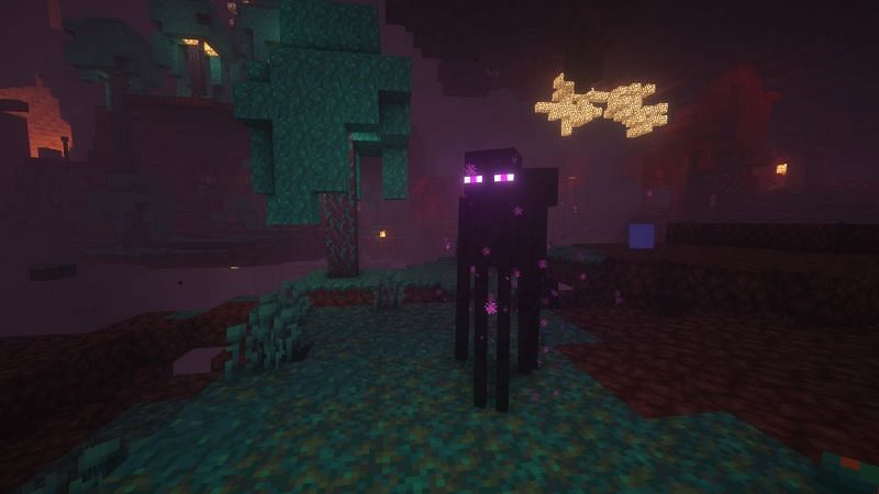 Two endermen in the Nether (Image via Minecraft)
