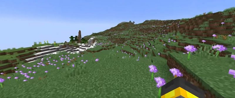 The meadow biome (Image via wattles)