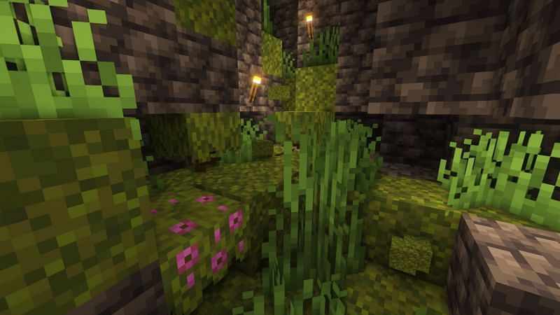 Moss blocks grown next to deepslate (Image via Minecraft)