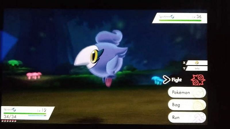 A photograph of a Shiny Spritzee in Pokemon Shield (Image via Game Freak)
