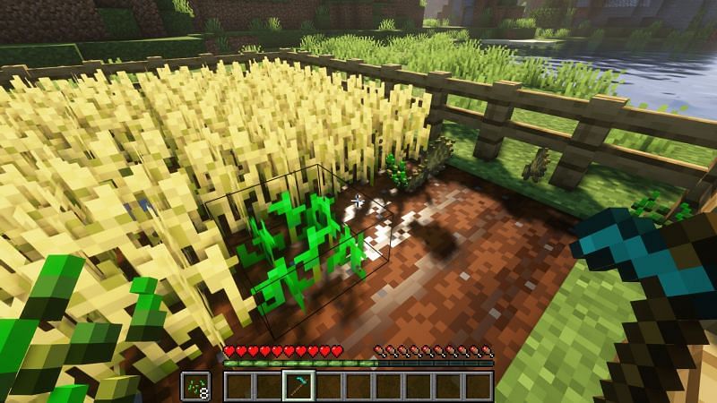 Harvesting using a hoe (Image via Minecraft)
