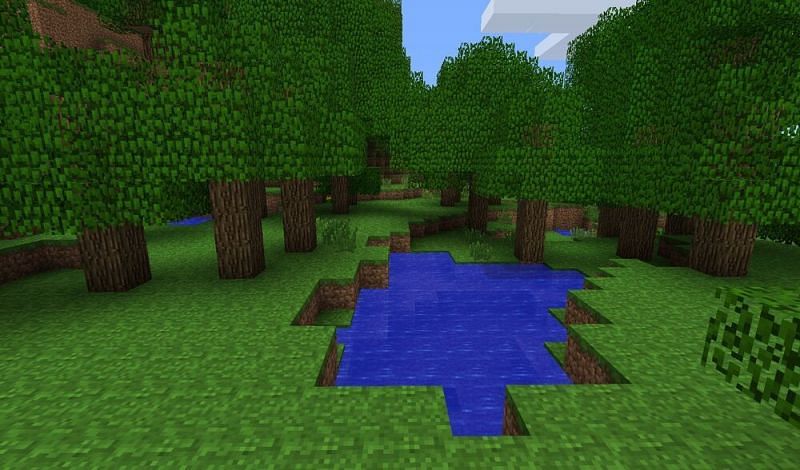 A seasonal forests (Image via Minecraft)