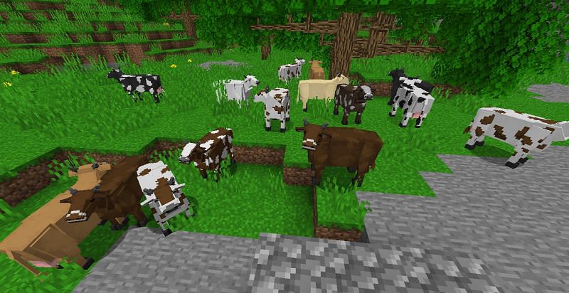 Cow models in Better Animal Models mod (Image via Mojang/CurseForge)