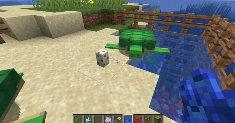 Turtle eggs can be used to grow baby turtles, which will drop scutes as they get bigger. (Image via Minecraft)
