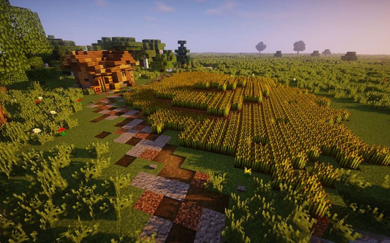 An image of a wheat farm in Minecraft. (Image via Mojang)
