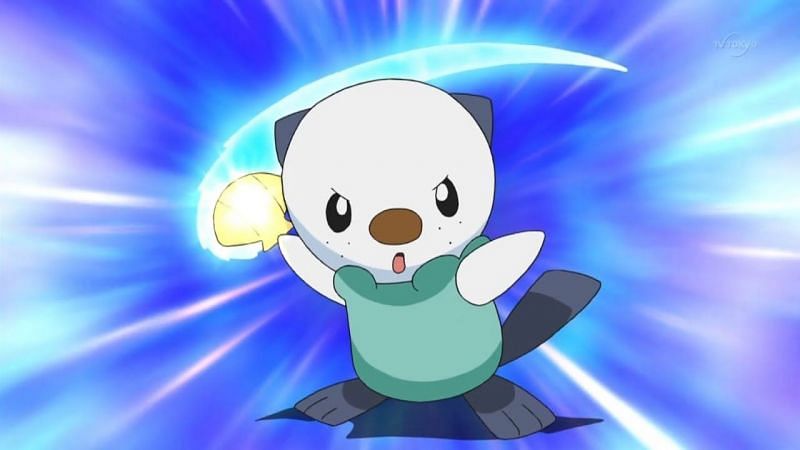 Oshawott as it appears in the anime (Image via The Pokemon Company)