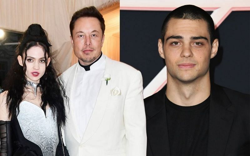 Rumors of Grimes cheating on Elon Musk with Noah Centineo debunked (Image via Getty)