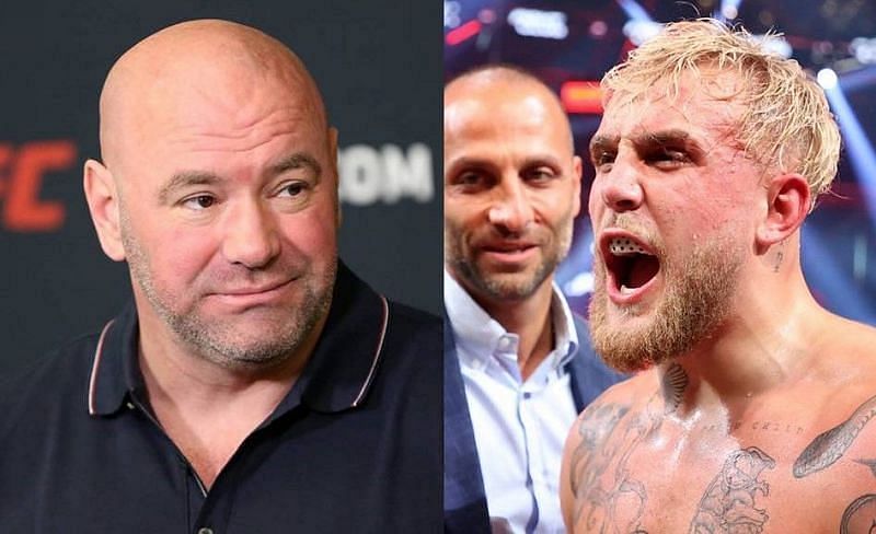 Dana White has claimed that Jake Paul will not be fighting Anderson Silva