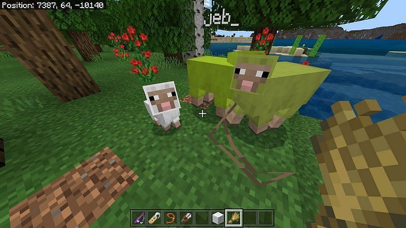 The jeb_ nametag makes the sheep change colors, but its wool will be white (Image via Minecraft)