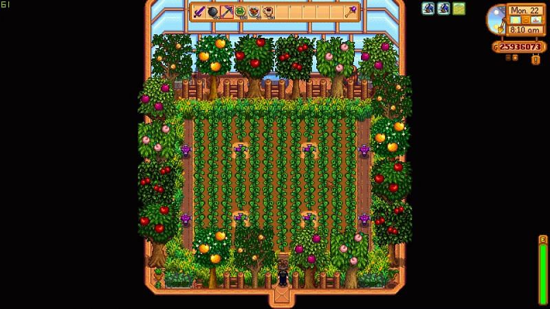 stardew valley greenhouse layout 2018