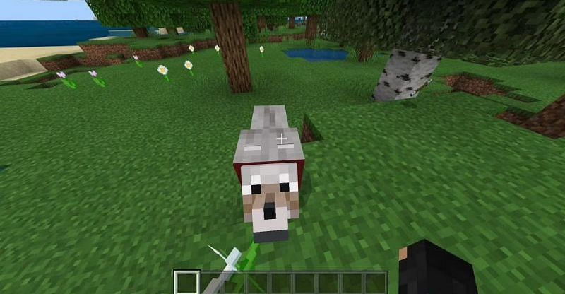 An image of a player with their pet dog in Minecraft. (Image via Minecraft)