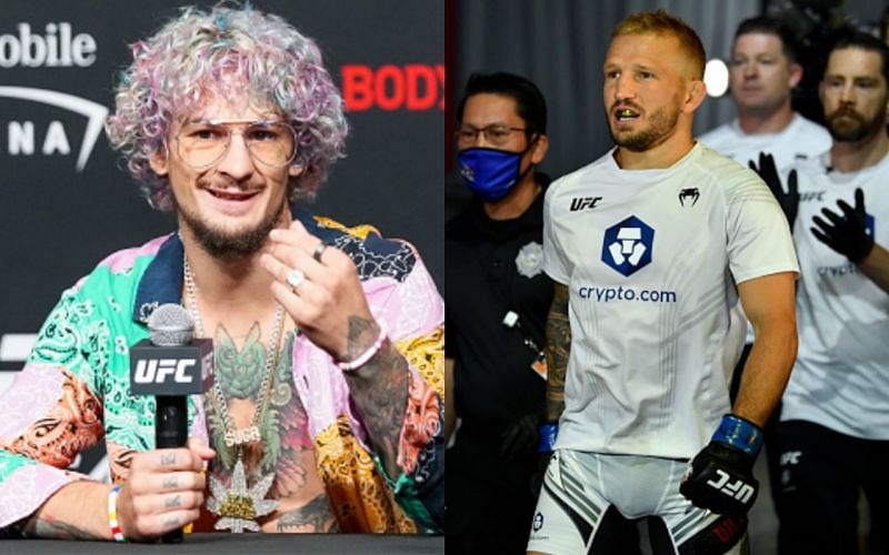 Sean O&#039;Malley (left); TJ Dillashaw (right)