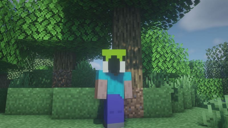 Steve con la cabeza de un loro (Imagen a través de Minecraft)