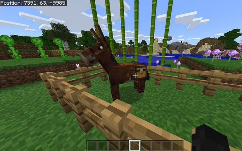 How to get mules in Minecraft Ohallo Ranco