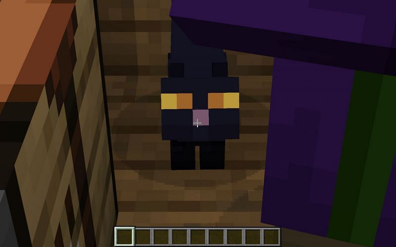 Minecraft&#039;s black cat mob can be found in Witch&#039;s huts. (Image via Minecraft)