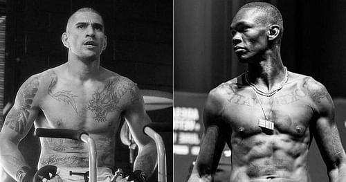 Will we see a third fight between Alex Pereira and Israel Adesanya?