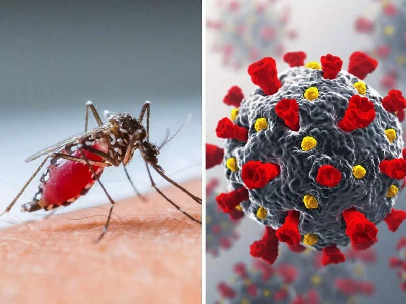 डेंगू के बुखार से बचें वरना परेशानी बढ़ सकती है और इंसान की मौत भी हो सकती है। (फोटो: नवभारत टाइम्स)