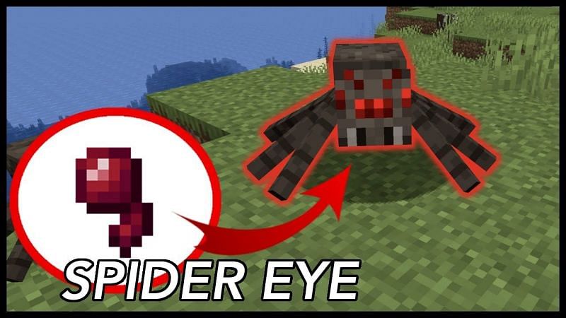 A spider and its eye (Image via RajCraft on YouTube)