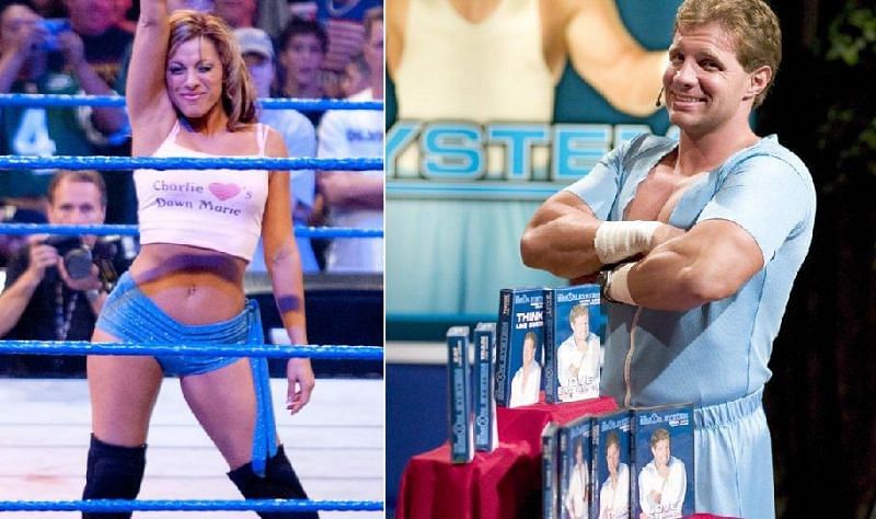 Several former WWE Superstars have gone on to work regular jobs