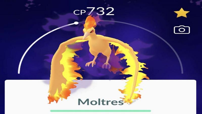 Shadow Moltres as it appears in Pokemon GO (Image via Niantic)