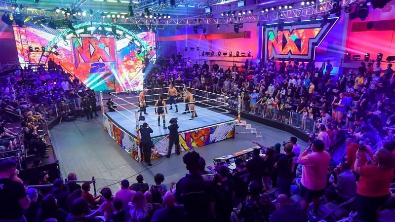 The WWE Universe was curious about the rebranding of NXT.