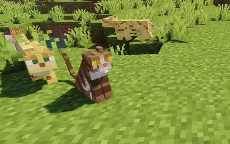 An image of an ocelot and a cat in Minecraft (Image via Minecraft)