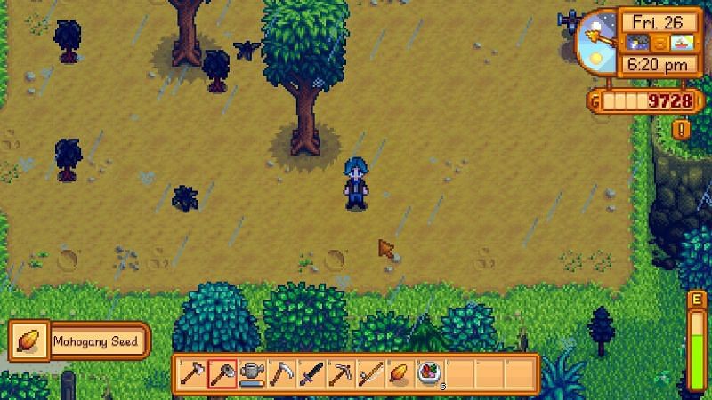 Guide to growing Mahogany Trees in Stardew Valley (Image via u/Disappearing-Witch on Reddit)